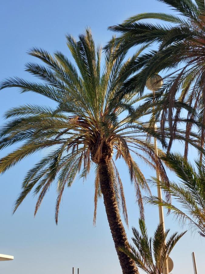 Centrum Le Clairfontaine Appartement Cannes